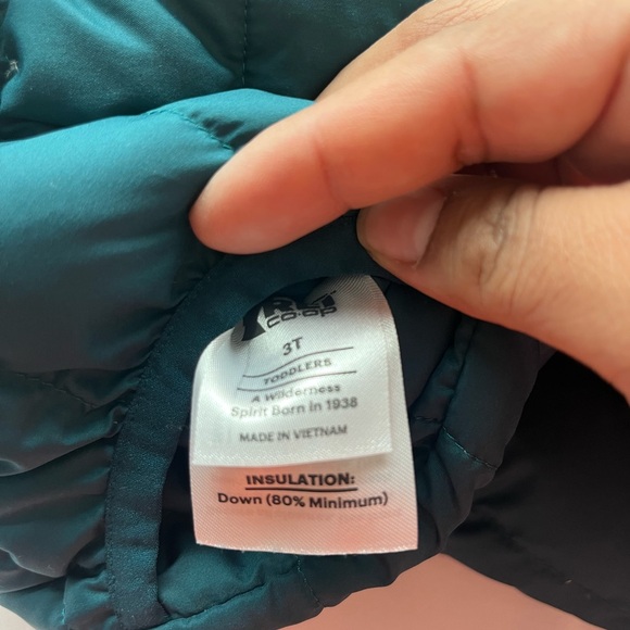 REI Co-op Deep Teal Insulated Down Jacket - Picture 6 of 9